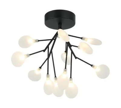 12 Light Ceiling Mount6231924