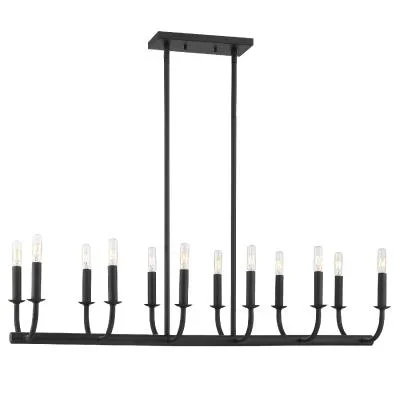 12 Light Chandelier4041189