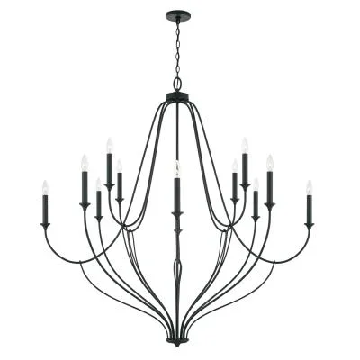 12 Light Chandelier6668833