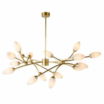 16 Light Chandelier4170397