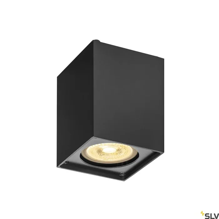 Altra -dobbelstenen, plafondlamp binnenshuis, QPAR51, zwart