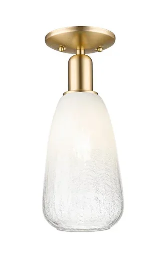 Arcadia One Light Semi-Flush Mount (716-1C-CB-G480-6OP)