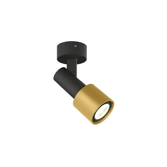 Aufbauleuchte SARA 1.0 PAR16, GU10 max. 12W, neigbar 90�, mattschwarz / gold