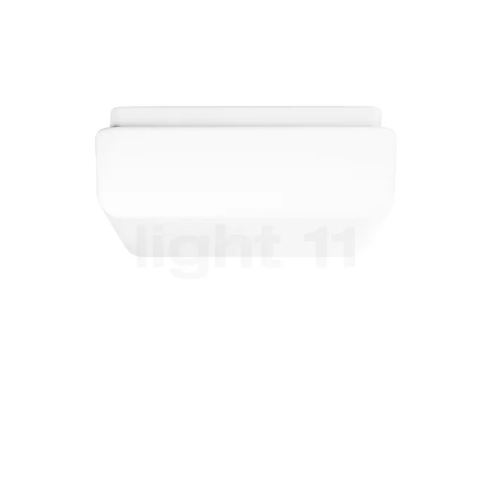 Bega Prima 50300 Decken-/Wandleuchte LED