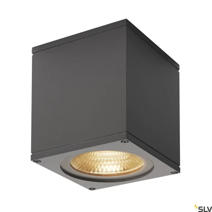 Big Theo, buiten plafondlamp, LED, 3000K, antraciet