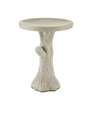 Bird Bath4171685