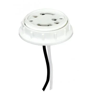 Cap W/Ring2431928