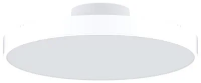 Ceiling Light4328639