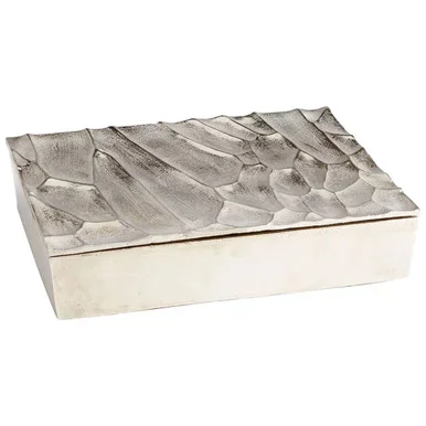 Cyan Container in Silver – 10085