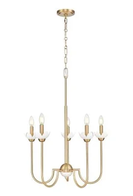 Five Light Chandelier4534408