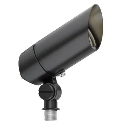 LED Accent9865894