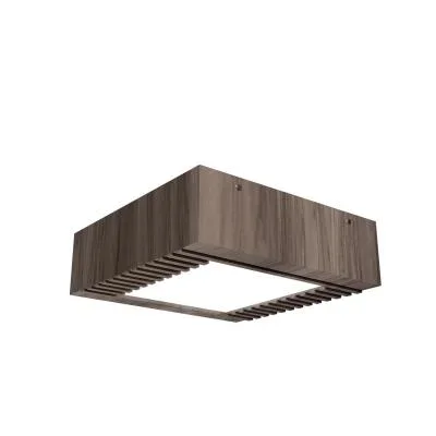 LED Ceiling Mount9853108