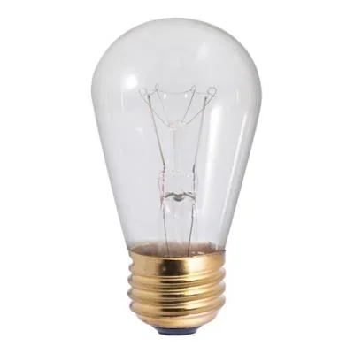 Light Bulb003288