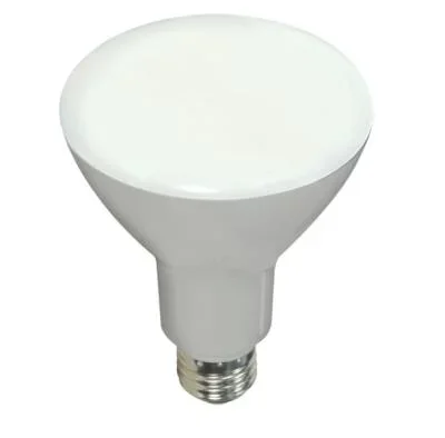 Light Bulb4433252