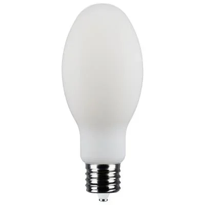 Light Bulb6246829