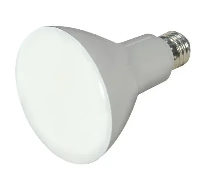 Light Bulb830107