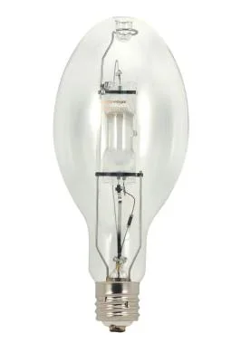 Light Bulb832770