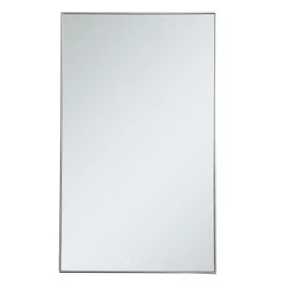 Mirror6699733