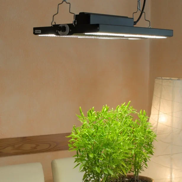Neusius Pflanzenlampe LED FLORIS GROW 150 W Vollspektrum