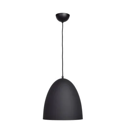 One Light Pendant668110