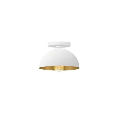 One Light Semi-Flush Mount8165197
