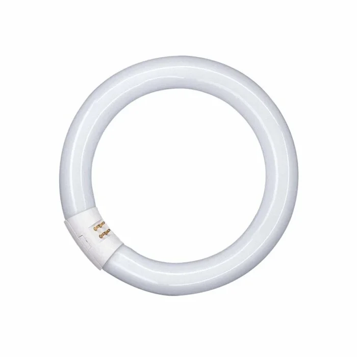 Osram Leuchtstofflampe T9 L 32W 840 C G10q Ringform Lumilux Cool White (alt 32W/20-640)