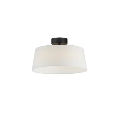 Paramount LED Flush Mount (10330WTBK)