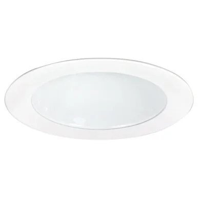 Rec Lv 4″ Trim 4″Reflectorector & Ring (NL-416)