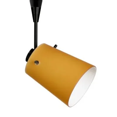 Spotlight2405990