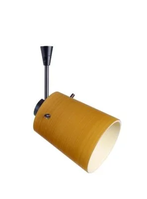 Spotlight504920