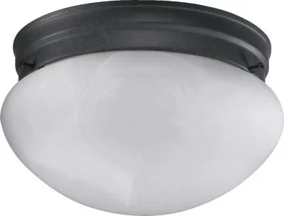 Two Light Ceiling Mount837141