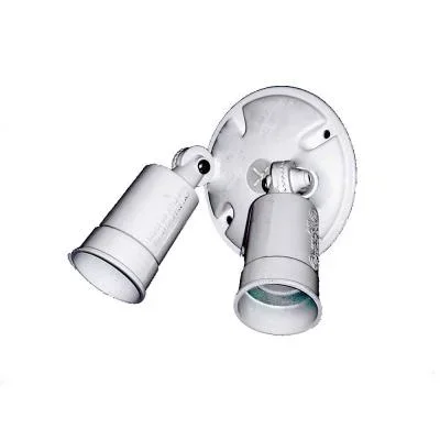 Two Light Floodlight991847