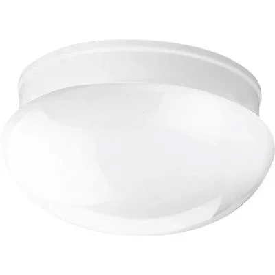 Two Light Flush Mount907627