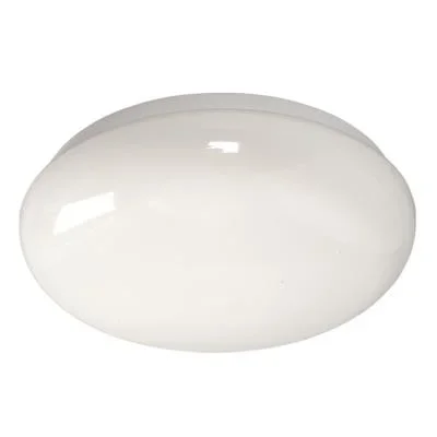 Two Light Flush /Wall Mount972965