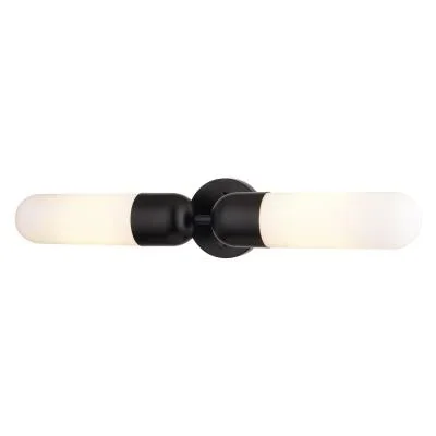 Two Light Wall Sconce2999728